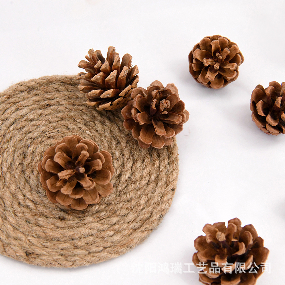 Подвесная линия шишки сосны Pinus tabulaeformis оригинальный цвет картонная упаковка фото украшения праздничные гирлянды бесплатная доставка