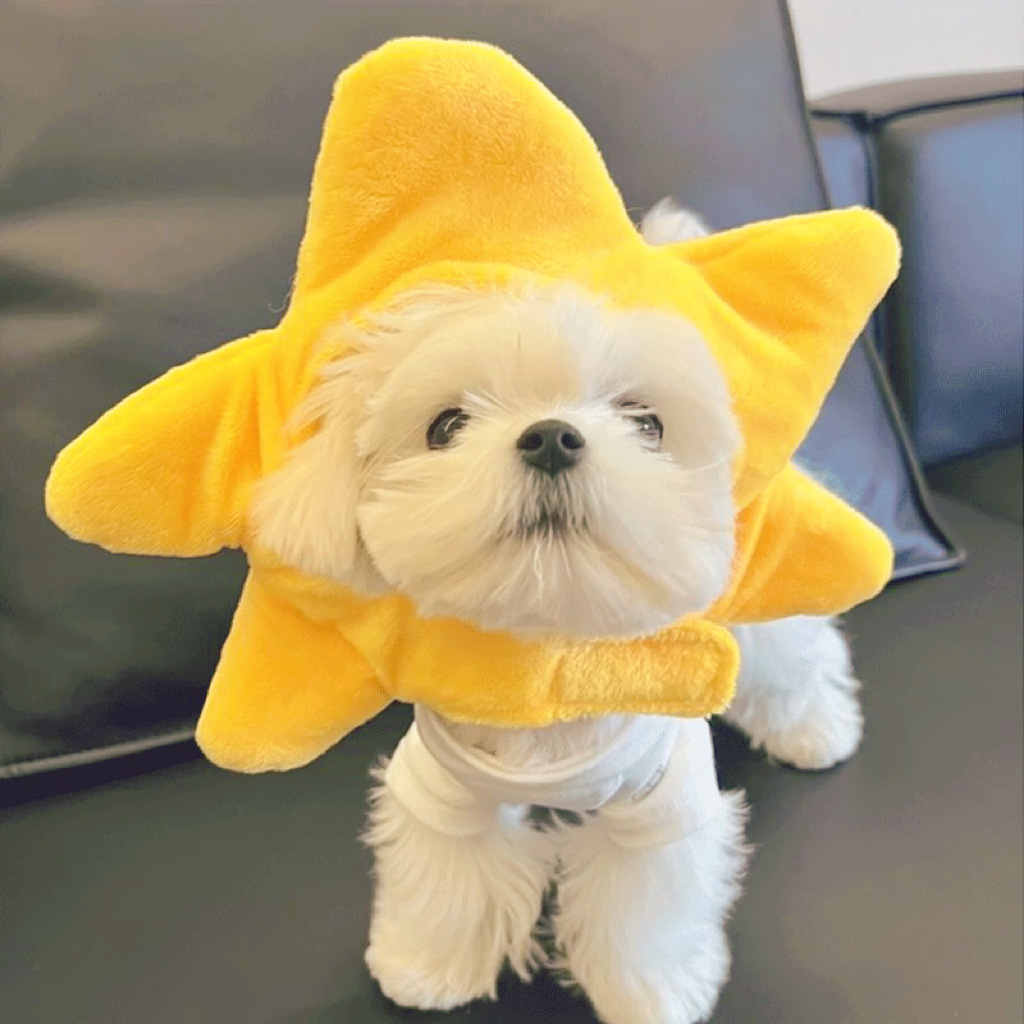 Pet Three-Eyed Boy Headgear Starfish Snapper Hat Piglet Chicken Cat Bear Panda Headgear Funny Dress up