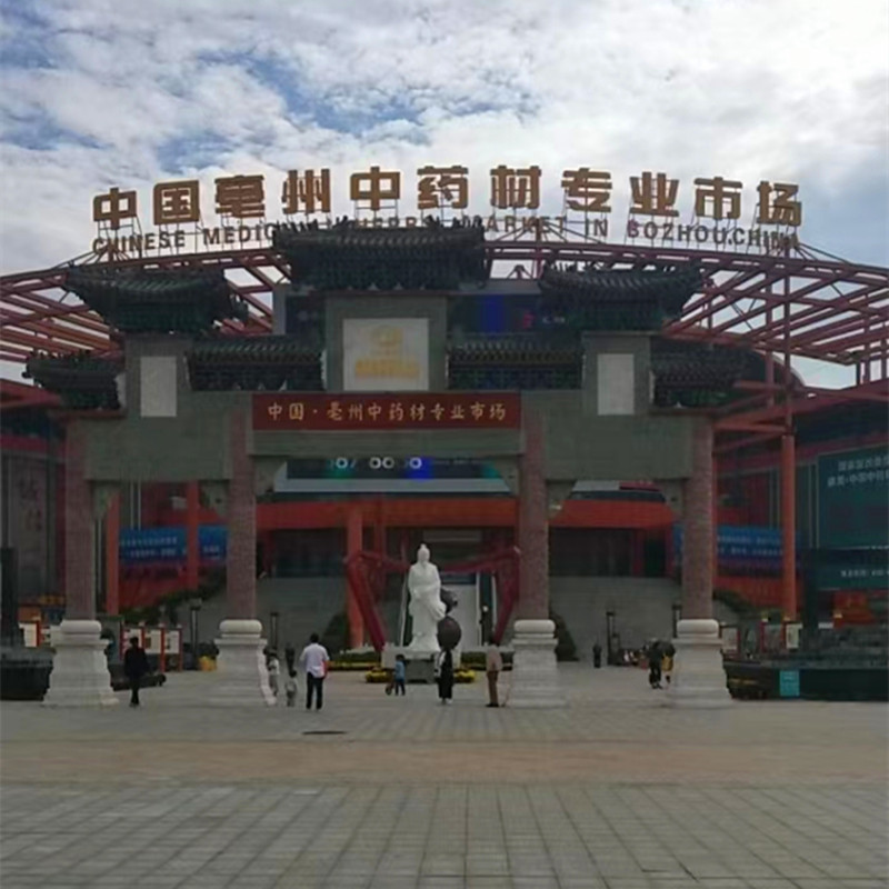 Sichuan New Goods, Uninfected Old Tree Eucommia Chinese Medicinal Materials, Peeled Salt Eucommia Origin, Edible Eucommia Powder Wholesale