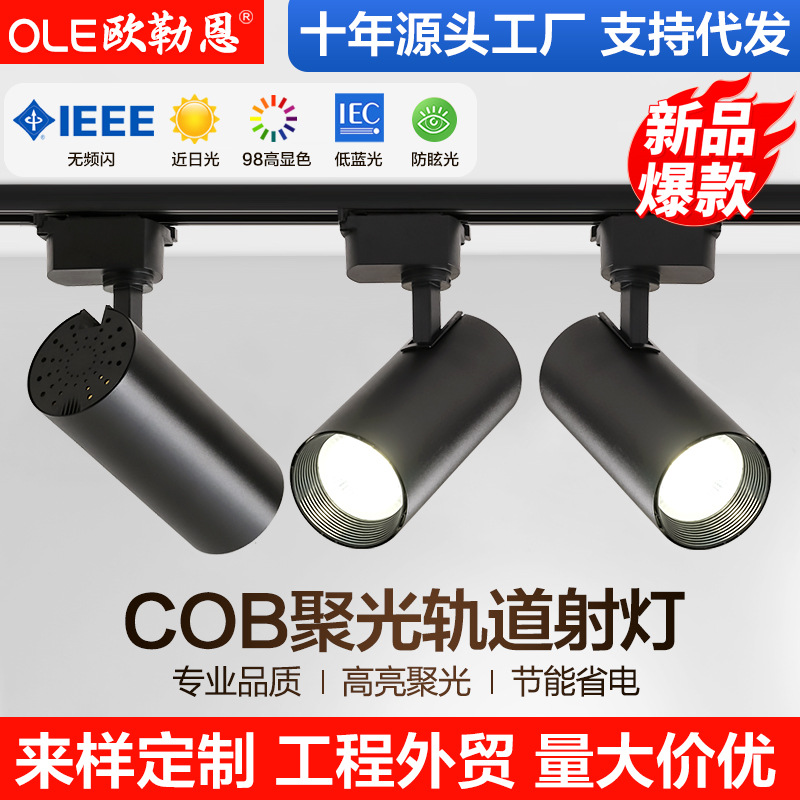 Полноспектральный трековый спот светодиодный светильник для коммерческого использования, COB, встроенный в магазин, магнитная лампа для гостиной