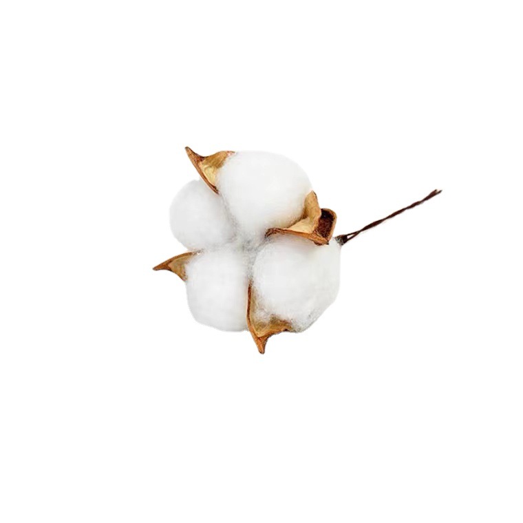 Natural Kapok Head Dried Flower Bouquet Decoration Material Photo Props Accessories DIY Handmade Garland Material Cotton