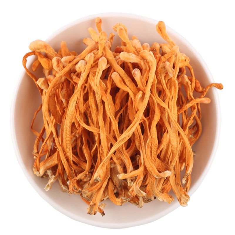 [Factory Direct Sales] Cordyceps Flower New Arrival Bulk Wholesale Spore Cordyceps Flower Dried Goods 500g Cordyceps Cordyceps Militaris