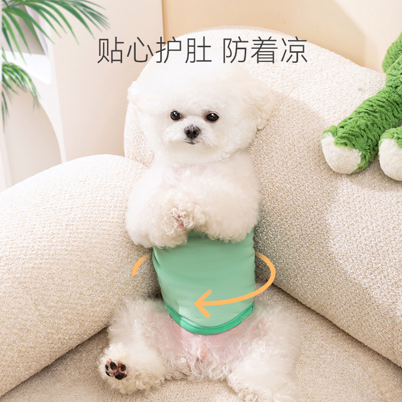 Male and Female Dog Physiological Pants with Cartoon Style for Summer Pet Anti-Harassment Pants, Heat Corgi Dog Diaper Pants