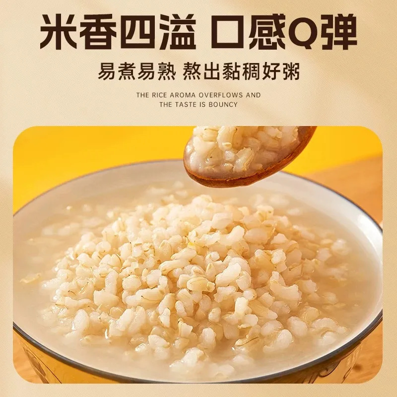 Northeastern Farm Sorghum Rice White Sorghum Rice Sorghum Kernels Shelled Whole Grains