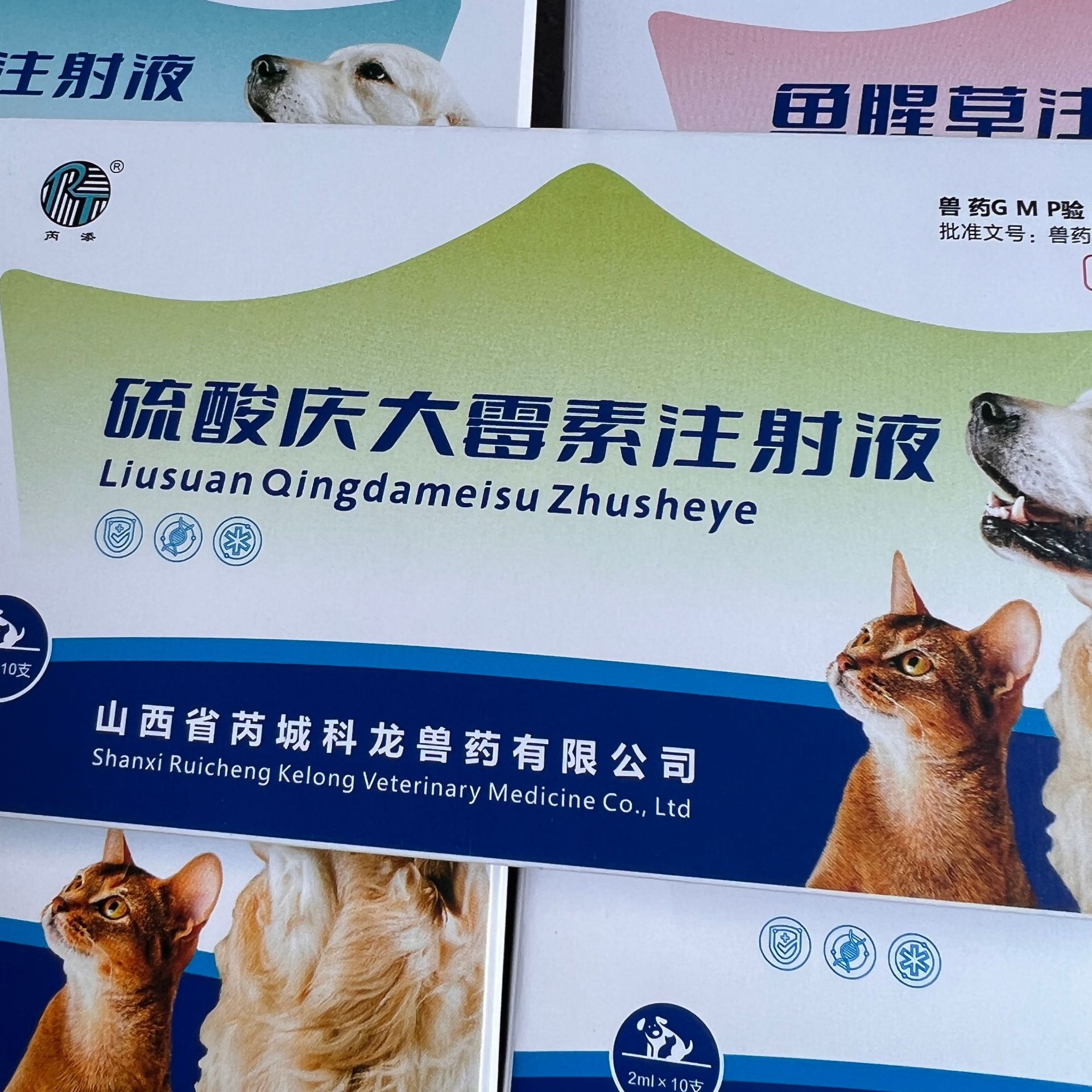 Shanxi Kelon Gentamicin Atropine Vitamin Houttuynia cordata Bupleurum Linke Canadim Small Size Water Needle