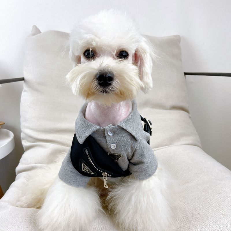 Cross-border foreign trade pet cat small dog dog self-backpack Teddy method than bear tide messenger bag accessories