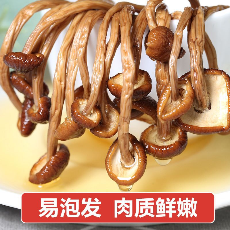 [No Desiccant] Dry Tea Tree Mushroom Wholesale 500g Gutian Dry Tea Tree Mushroom Vegetable Soup 20g
