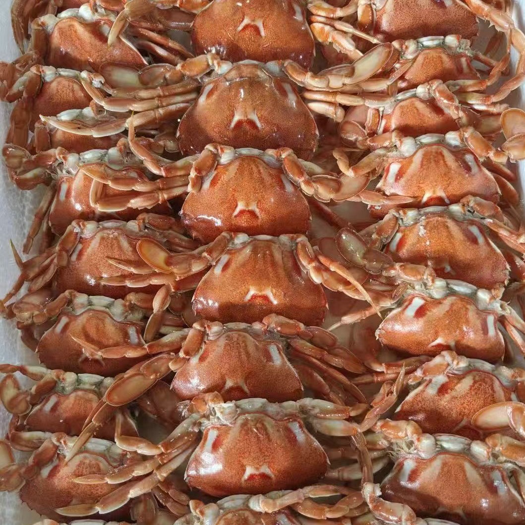 Замороженные отобранные вареные крабы Лаки, средние крабы Лаки, буфет, ресторан, замороженные морепродукты и водные продукты оптом