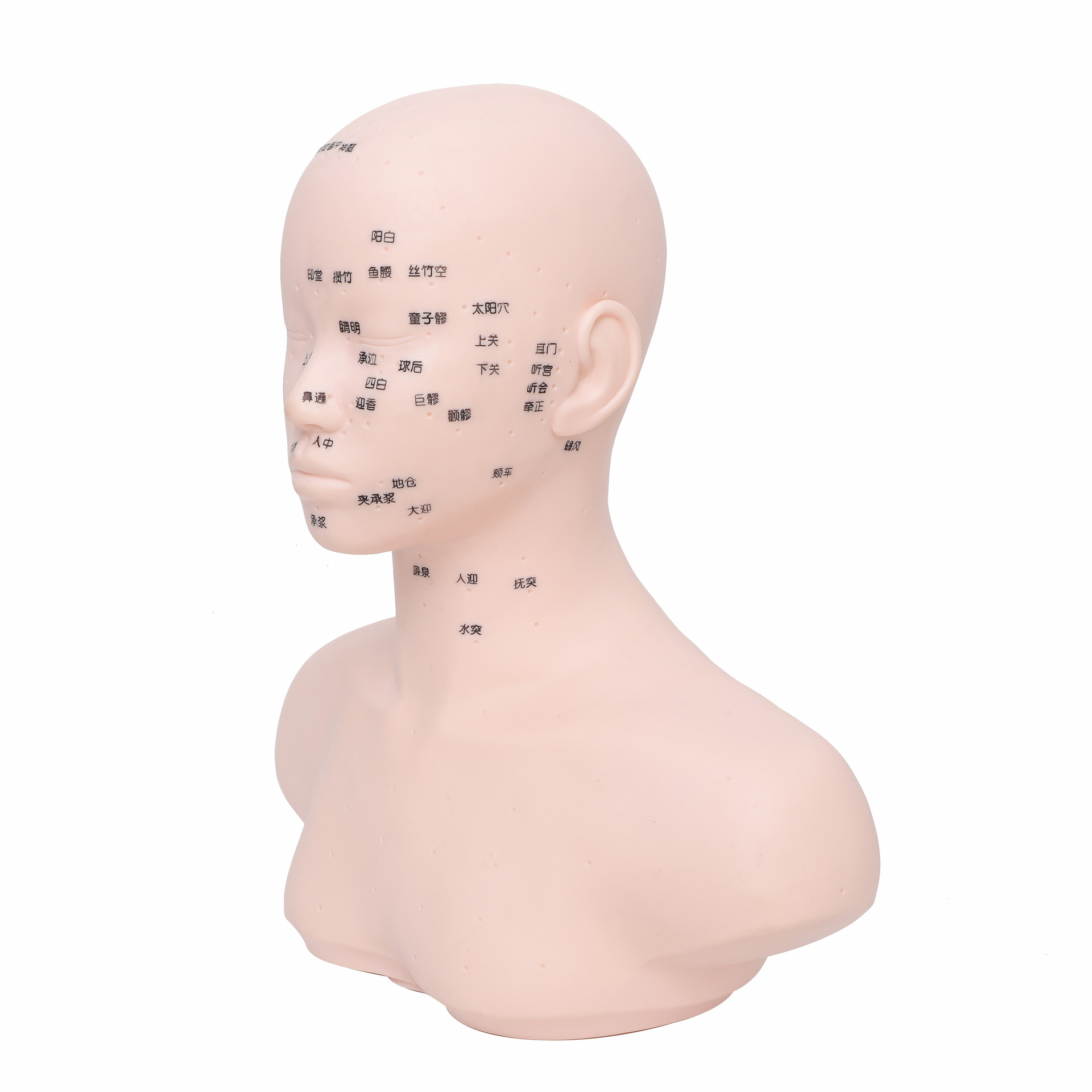 Head model massage head model beauty salon dummy head model face carving acupuncture point massage technique practice model head