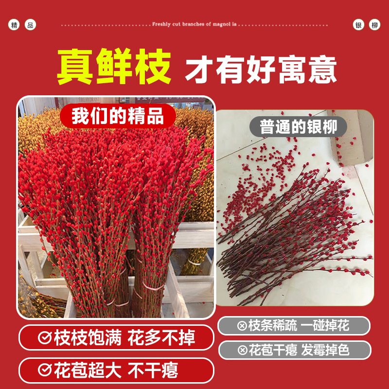 Factory Direct Sales E-Commerce Dropshipping Spring Festival New Year's Eve Florals Hydroponic Plants Fresh Branches Dried Florals Red Living Room Decoration Silver Willow