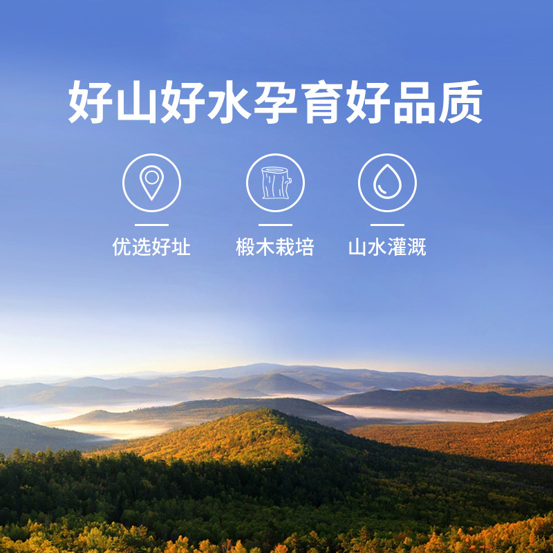 Beidahuang Autumn Fungus 100g Northeast Fungus Mountain Treasures Wholesale Origin Direct Sales Black Fungus Fungus Rootless Thick Flesh