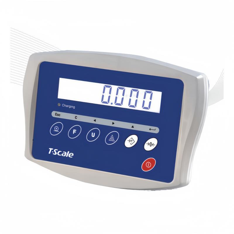 Taiheng Huierbang T2000A Weighing Display Kw, Kc, Bw, Rw Weighing and Counting Display Instrument Others