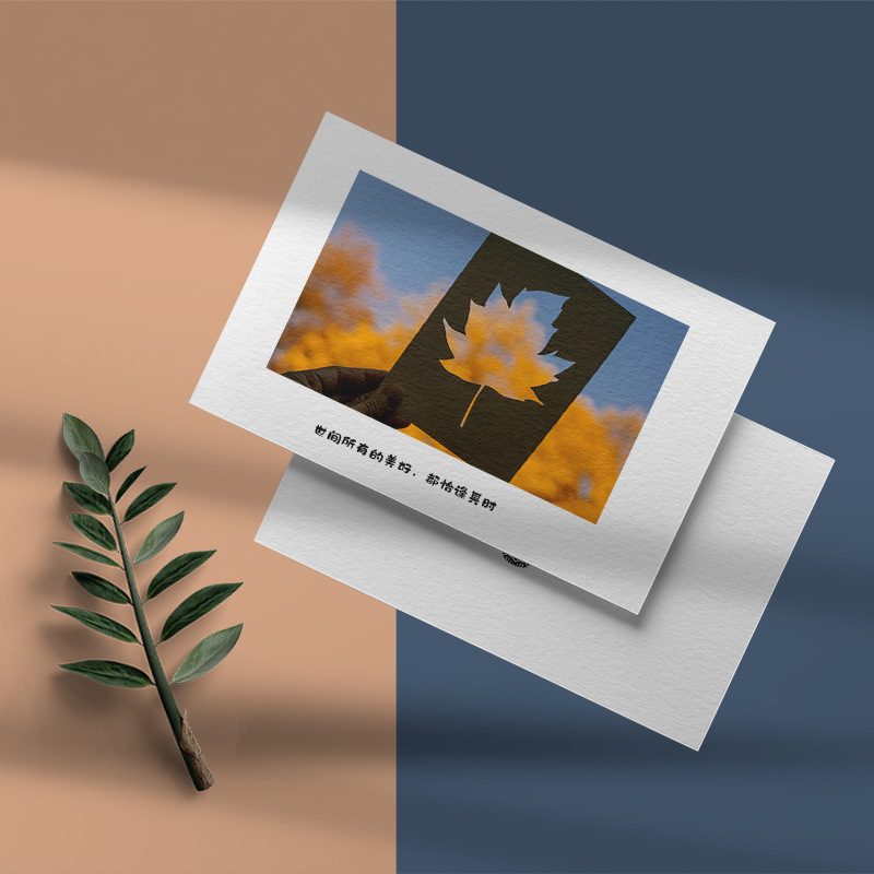 Карта послепродажного обслуживания Открытка Карта безопасности Дизайн маленькой квадратной карты Печать свадебного благодарственного письма Карта для доставки Скретч-карта