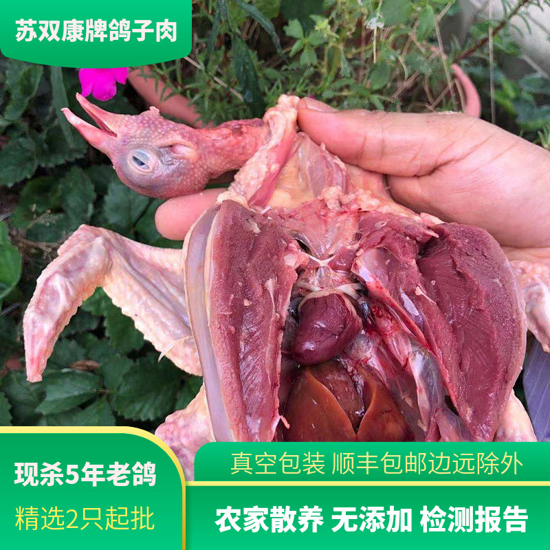 A generation of wholesale now killed old pigeons soup with cereals frozen pigeons free-range now killed meat pigeons chilled