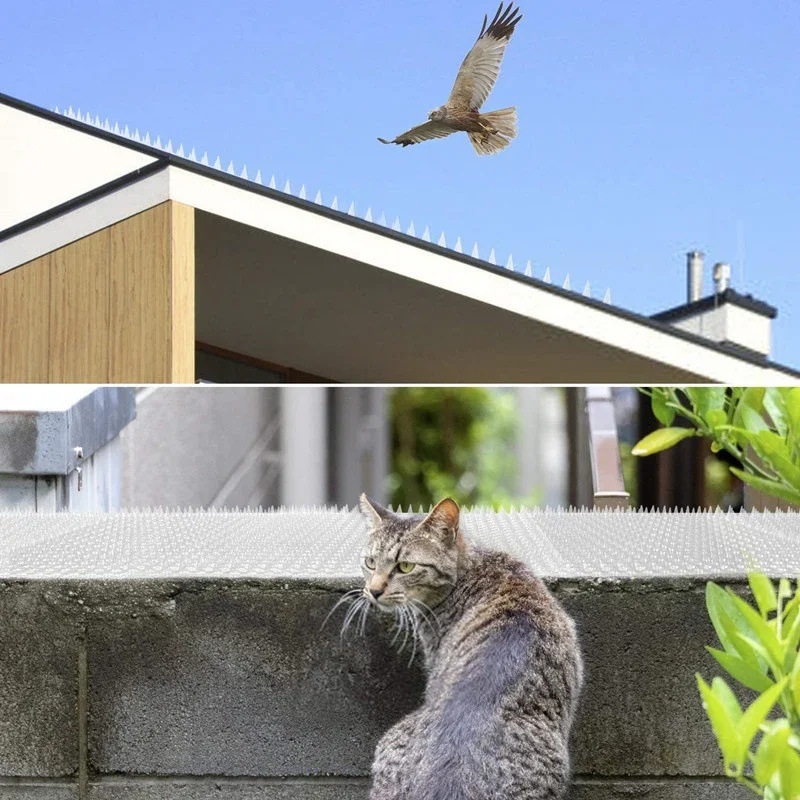 Cross-Border Supply of Pet Transparent Plastic Rain-Proof and Cat-Proof Mats Suitable for Indoor and Outdoor Pigeon and Squirrel Bird-Repelling Spikes