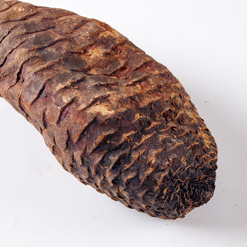 Genuine Xinjiang Cistanche Deserticola, One Piece of 80-150 Grams of Cistanche Deserticola Soaked in Wine and Water, Whole Root of Cistanche Deserticola