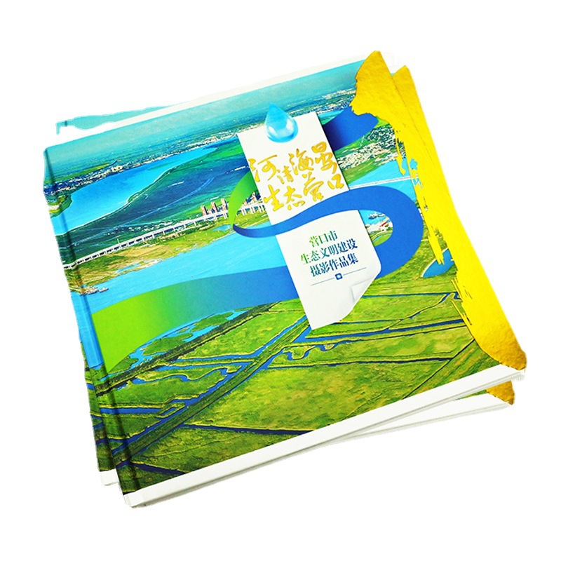 Exhibition Brochure Album Instructions Brochure Folding Printing Poster Magazine Book Journal Guangdong Printing Manufacturer
