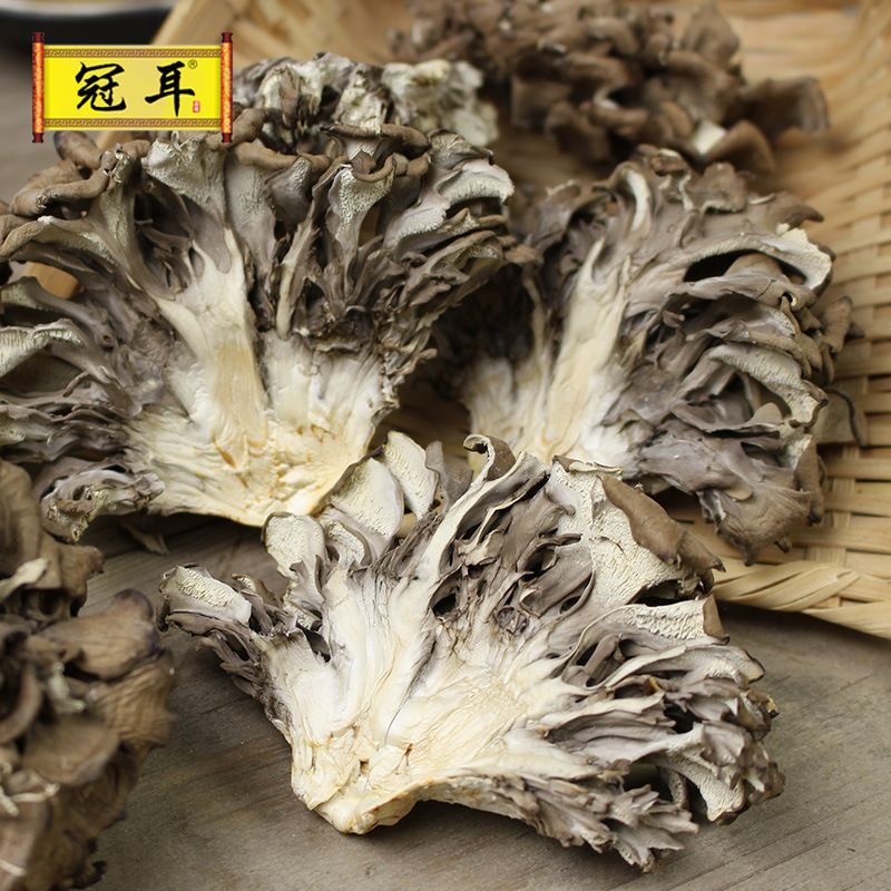 Gutian Grifola frondosa Grifola mushroom dried goods wholesale thousand bergamot Mushroom Maitake farm produce mushroom origin direct batch