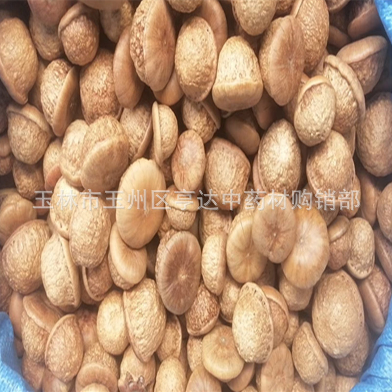 First-Hand Source of Fengliu Fruit, Tianzhu Capsuless, Sao Head Turtle, New Goods, Magu Convex, Dry Goods