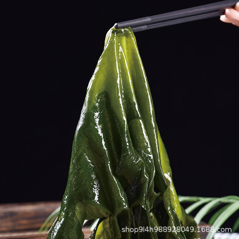 Salted Wakame Rongcheng Thick Wakame Fresh Sea Cabbage Weihai Specialty Manufacturer Direct Supply Wholesale 0.5kg Free Shipping