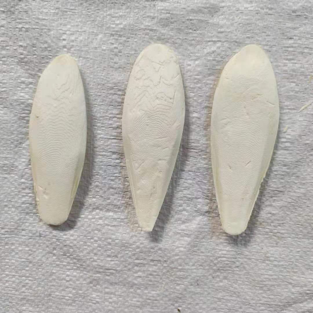 Factory Direct Hair Jellyfish, Cuttlefish Bone Polishing, Bird Pet Teeth Grinding, Calcium Supplement Pieces, Various Specifications