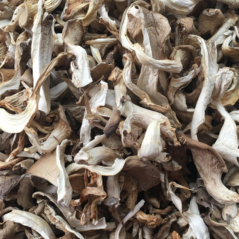 Pleurotus ostreatus mushroom farm new goods wholesale Yunnan real mushroom Pleurotus ostreatus north wind mushroom silk strip can be sent on behalf