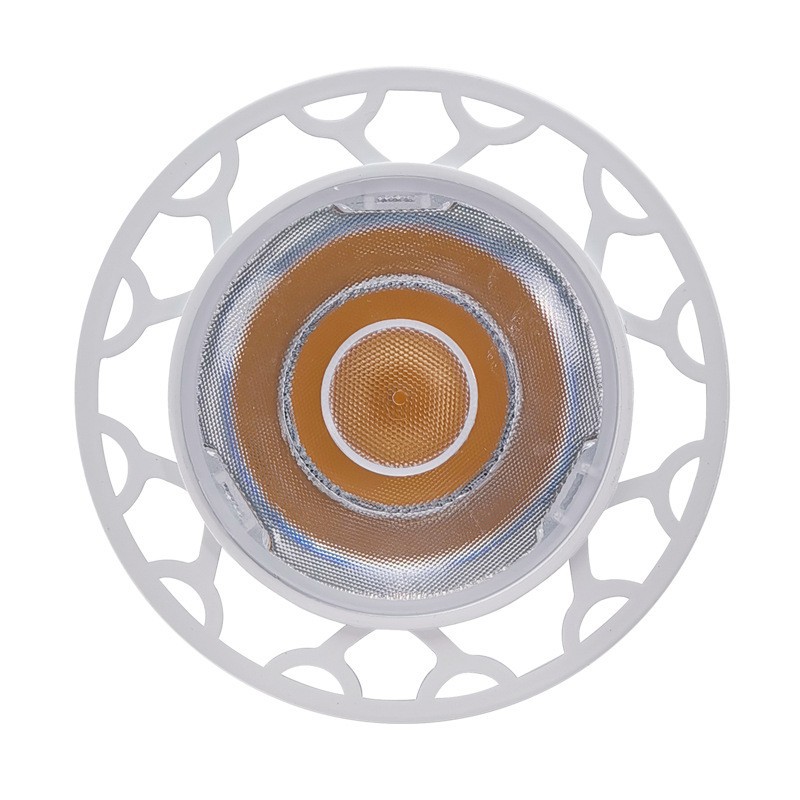 Full spectrum LED plant growth PAR38 30W35W fleshy flowers and vegetables green plant Par38 fill light 98 display