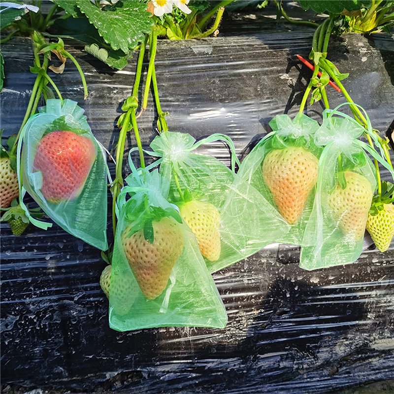 Fruit Bagging Insect-proof Mesh Bag Transparent Mesh Bag Strawberry Fruit in stock Bundle Drawstring Grape Insect-proof Mesh Gauze Bag