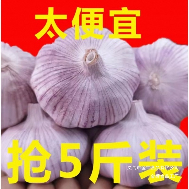 Directly Sold from Shandong Farms, Self-Grown cm Garlic, Purple-Skinned Garlic to Garlic Heads, Wholesale from Wangxin, Shandong