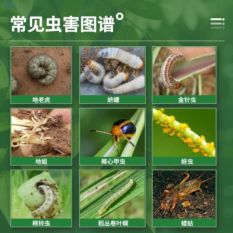 Abamectin Genuine Insecticide Vegetable Fruit Tree Flower Red Spider Insecticide Whitefly Aphid Agricultural Insecticide