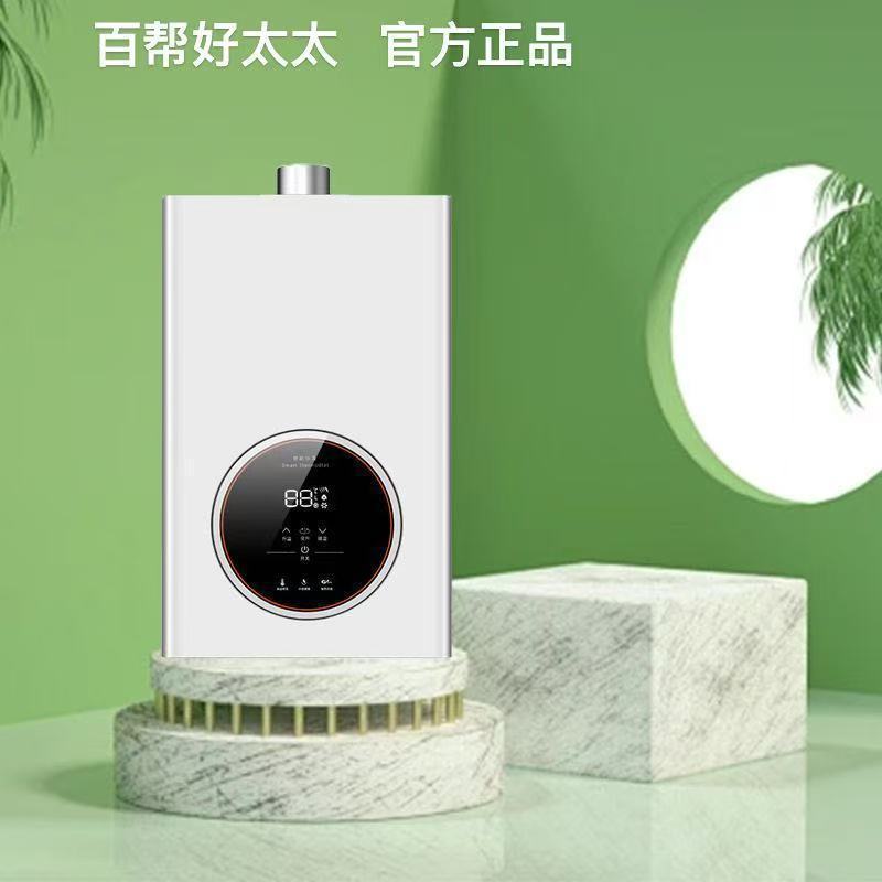 Gas Water Heater Variable Frequency Constant Temperature Supercharged Anti-Freeze Zero Cold Water Forced Exhaust Balanced Household Amazon