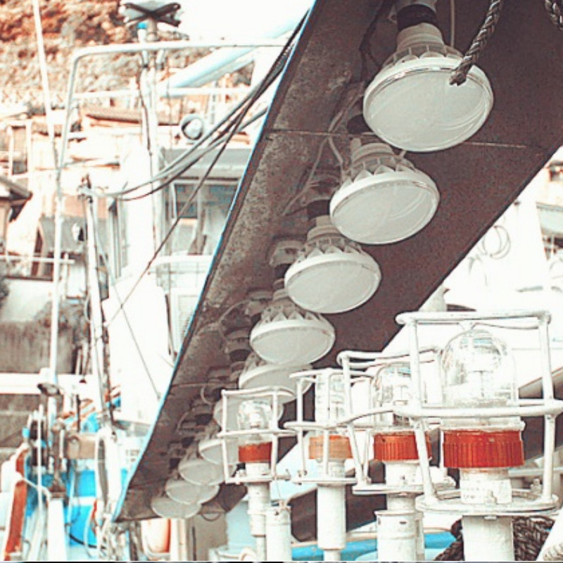 Outdoor Led Bulb Outdoor Par56 Plant Light E40 Lamp Holder Aluminum Shell Bulb Light Ip65 Waterproof Light 50W