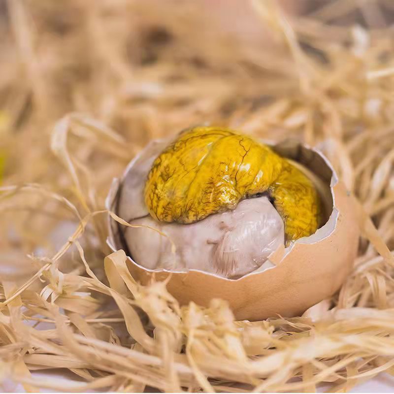 13 days of fresh live beads spiced spicy flavor open bag ready-to-eat cooked eggs tempered eggs authentic factory wholesale price