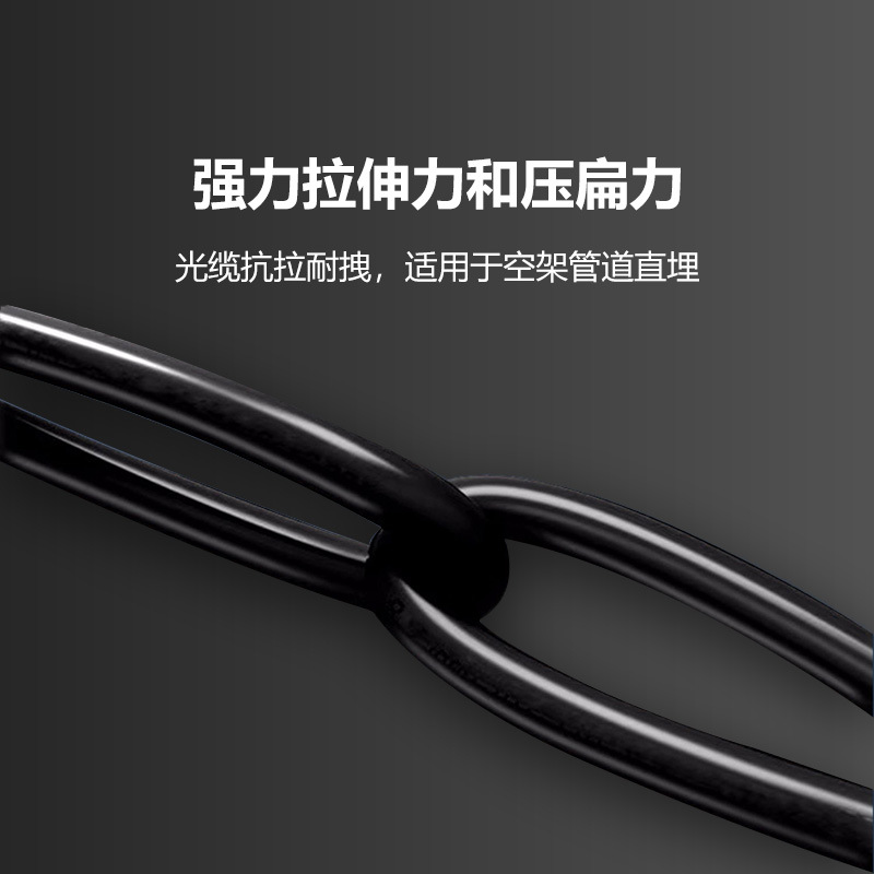 4-core outdoor optical cable 6-core 8-core 12-core armored optical cable outdoor optical fiber GYXTW central beam tube single-mode optical fiber line