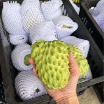 Hainan Tropical High-End Fruit Gift Box, Sf Express Free Shipping, Selected Bird's Nest Fruit, Coconut, Saba Fruit, Fresh