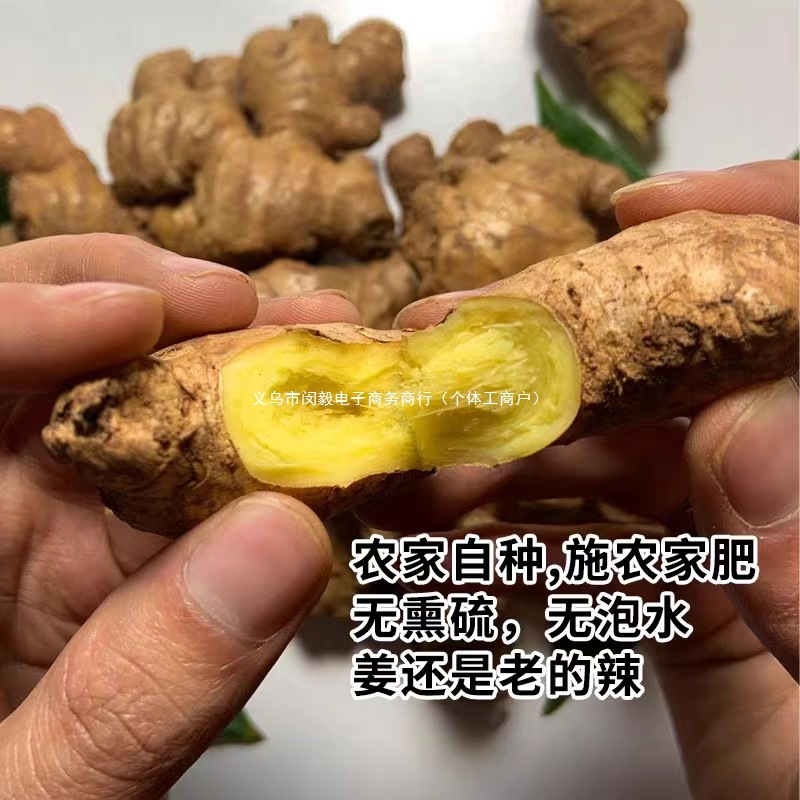 (Yunnan Mountain Freshly Digged Ginger) Farm Fresh Ginger Postpartum Ginger 9/5/ 1.5kg Seasoning