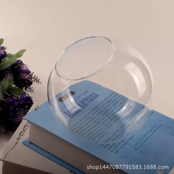 High borosilicate glass handicraft moss micro landscape plant ecological bottle green plant potted succulent plant transparent vase