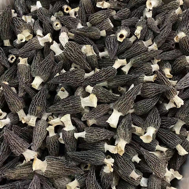 Грибы матсутаке, первый урожай, 50г, оптовая продажа, сушеные грибы для гостиничного бизнеса