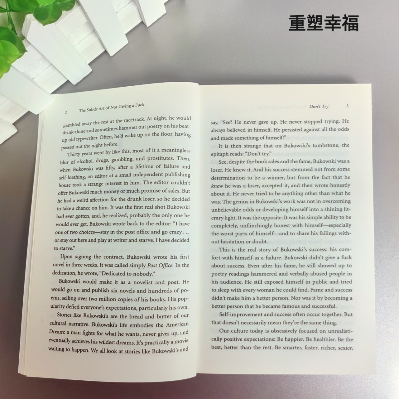 The Subtle art of Not Giving a English Version of the Subtle art of Not Giving a Mark Mansen