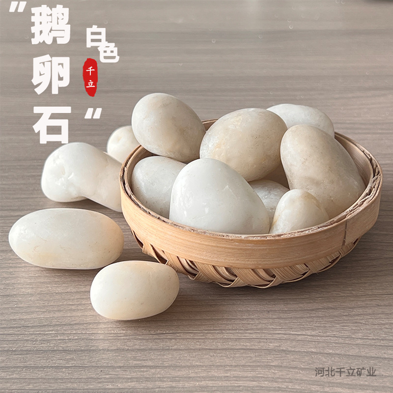 White Pebbles Courtyard Landscaping Fish Tank Landscaping White Stone Selected Raw Stone Rain Flower Stone Manufacturer Wholesale Rain Flower Stone