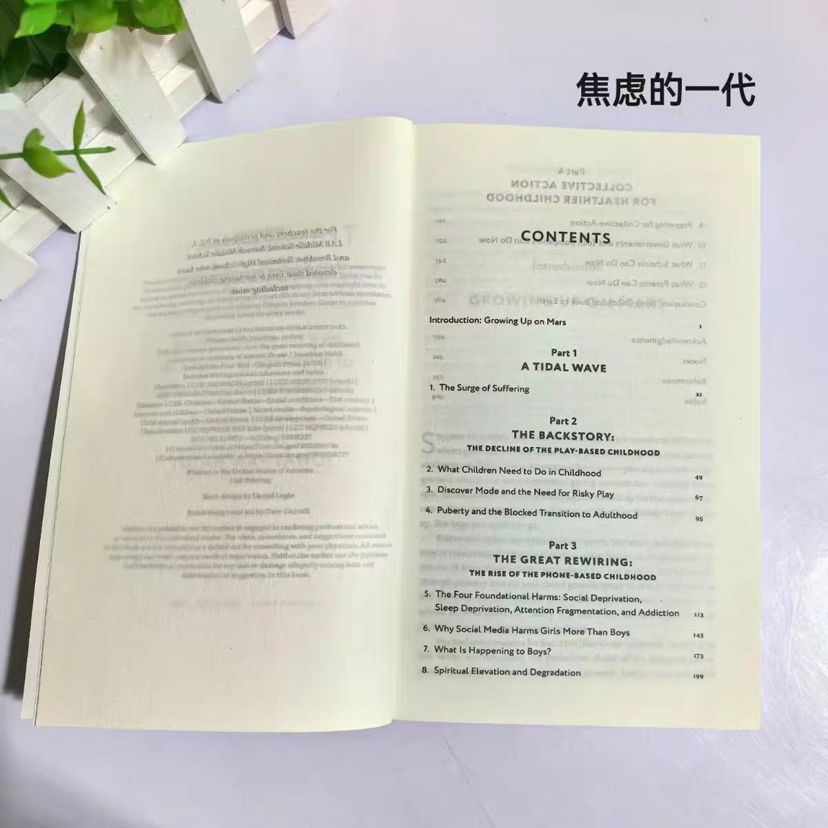 The Anxious Generation English Version The Anxious Generation New York Times Bestseller