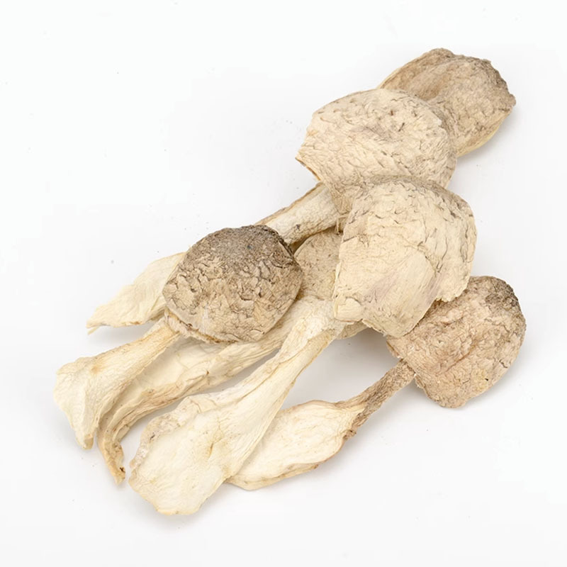 Coprinus comatus shredded coprinus comatus scraps raw material coprinus comatus seasoning coprinus comatus accessories coprinus comatus feeding wholesale