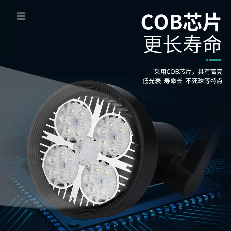 Led Fresh Food Lights for Pork, Supermarket Track Spotlights, Fruit Shop Lights, Marinated Vegetable Red Light, Cooked Food Lights