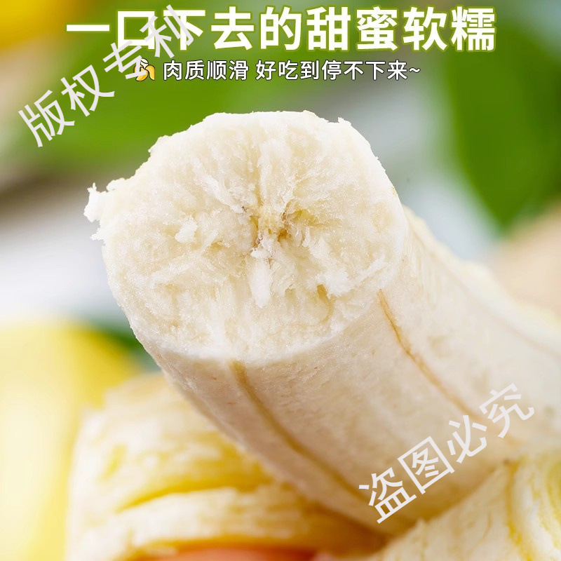 Yunnan Alpine Sweet Bananas 4.5kg Fresh Fruit Seasonal Freshly Picked Plantain Sweet Bananas Whole Box Naturally Ripe