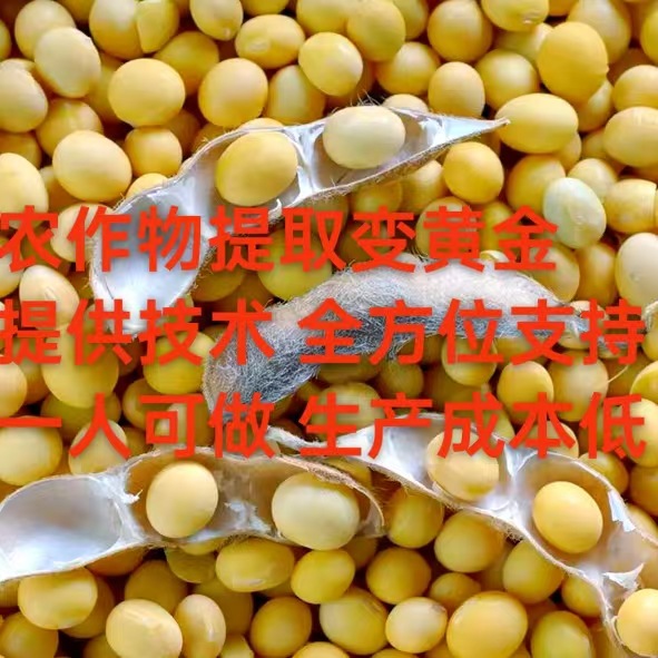 Deep Processing of Crops to Extract Plant Protein Peptides Opens the Path to Wealth from Turning Corn into Gold. Repurchase Support