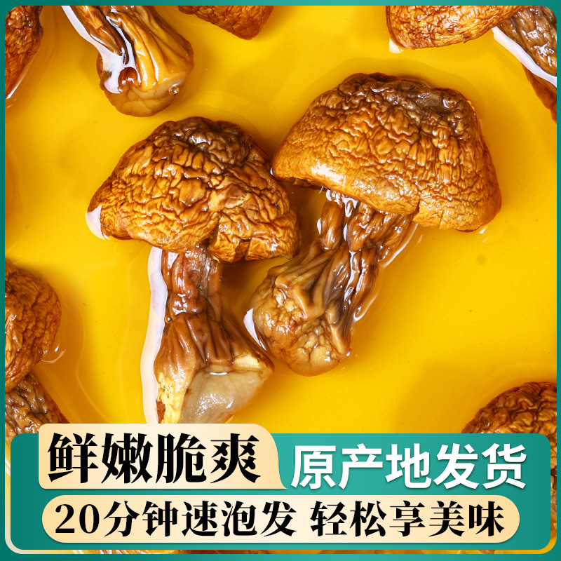 Academy of Agricultural Sciences Agaricus blazei dry goods 700g Yunnan specialty Shanzhen Tricholoma matsutake selection Brazil mushroom mushroom soup stir-fried dishes