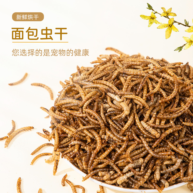 Supply export-grade microwave drying bread worm dry support small package quality stable yellow powder worm hamster grain