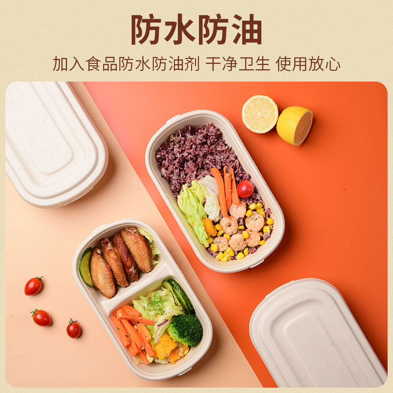Light Salad Mochi Red Bean Coconut Crispy Bento Packaging Box Biodegradable Takeaway Green Dumpling Croissant Compartment