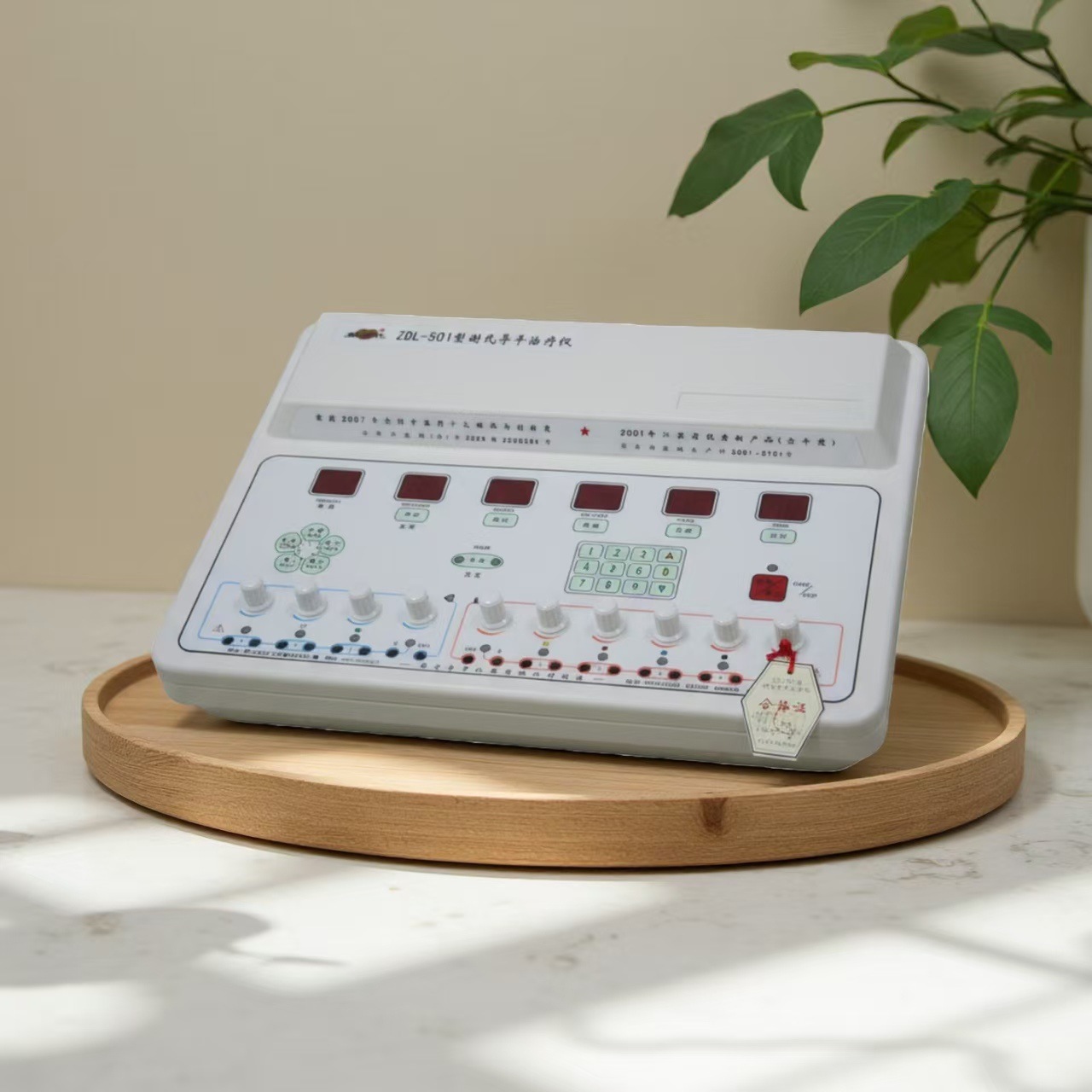 Meridian Health Care and Conditioning, Xie's Diao Ping Instrument, Acupuncture Without Needles, Painless, No Side Effects, Source Manufacturer, Meridian Tong