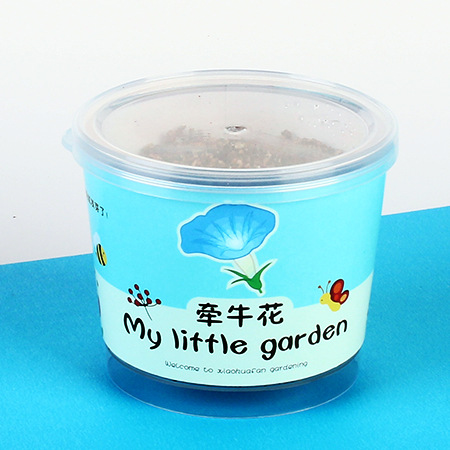 Bean Diced Potted Cat Grass Green Plant Blind Seed Kindergarten Kidsren Sunflower Strawberry Hand-Planted Flower Seed Gift